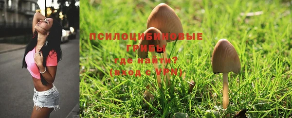 дмт Струнино