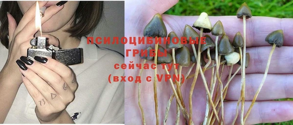 эйфоретик Володарск
