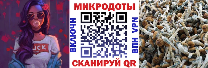 KRAKEN рабочий сайт  Любань  Псилоцибиновые грибы Psilocybine cubensis 